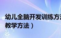 幼儿全脑开发训练方法（少儿全脑潜能开发的教学方法）