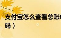 支付宝怎么查看总账单（支付宝怎么查看健康码）