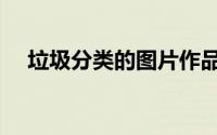 垃圾分类的图片作品（垃圾分类的图片）