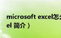 microsoft excel怎么求和（Microsoft Excel 简介）