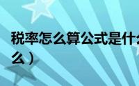 税率怎么算公式是什么（税率怎么算公式是什么）