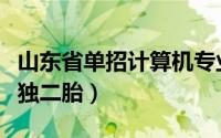 山东省单招计算机专业哪个学校好（山东省单独二胎）