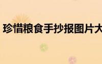 珍惜粮食手抄报图片大全（珍惜粮食手抄报）