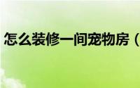 怎么装修一间宠物房（怎么装修一间水果店）