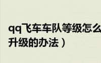 qq飞车车队等级怎么升级（QQ飞车车队快速升级的办法）