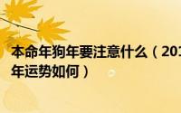 本命年狗年要注意什么（2019本命年要注意什么、猪年本命年运势如何）
