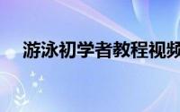 游泳初学者教程视频（游泳初学者教程）