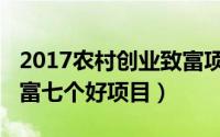 2017农村创业致富项目（2018年农村创业致富七个好项目）