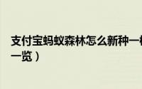 支付宝蚂蚁森林怎么新种一棵树（支付宝蚂蚁森林新增树木一览）