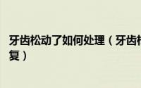 牙齿松动了如何处理（牙齿松动了该怎么办 牙齿松动怎么修复）