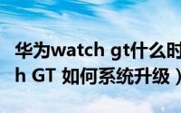 华为watch gt什么时候升级鸿蒙（华为Watch GT 如何系统升级）