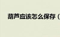 葫芦应该怎么保存（葫芦应当如何保存）