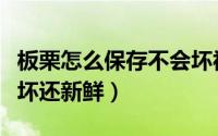 板栗怎么保存不会坏视频（板栗怎么保存不会坏还新鲜）