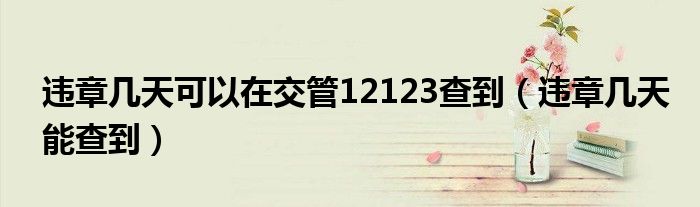 违章几天可以在交管12123查到（违章几天能查到）