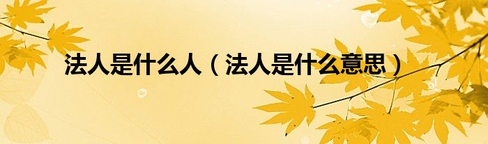 法人是什么人（法人是什么意思）