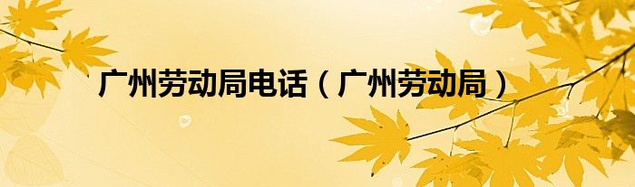 广州劳动局电话（广州劳动局）