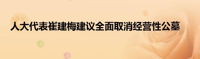 人大代表崔建梅建议全面取消经营性公墓