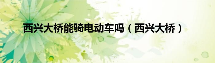 西兴大桥能骑电动车吗（西兴大桥）