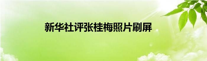 新华社评张桂梅照片刷屏