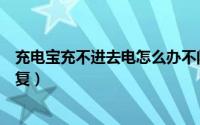 充电宝充不进去电怎么办不闪烁（充电宝充不进去电怎么修复）
