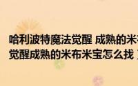 哈利波特魔法觉醒 成熟的米布米宝让所有人（哈利波特魔法觉醒成熟的米布米宝怎么找）