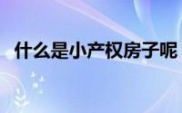 什么是小产权房子呢（什么是小产权房子）