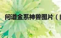 问道金系神兽图片（问道金系神兽有哪些）