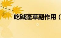 吃碱蓬草副作用（吃碱蓬草副作用）