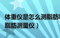 体重仪是怎么测脂肪率的（如何选购体重身体脂肪测量仪）
