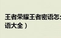 王者荣耀王者密语怎么复制（王者荣耀王者密语大全）