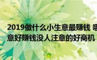 2019做什么小生意最赚钱 哪些项目利润高（2019做什么生意好赚钱没人注意的好商机）