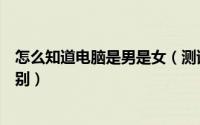 怎么知道电脑是男是女（测试电脑性别、怎么知道电脑的性别）