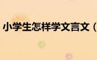小学生怎样学文言文（小学生怎样学好拼音）