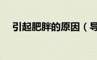 引起肥胖的原因（导致肥胖的几个原因）