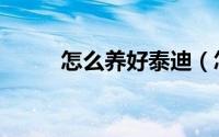 怎么养好泰迪（怎么养好富贵竹）