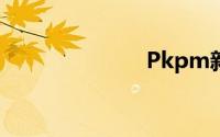 Pkpm新手教程