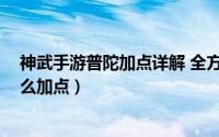 神武手游普陀加点详解 全方位PT加点分析（神武普陀山怎么加点）