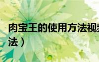 肉宝王的使用方法视频教程（肉宝王的使用方法）