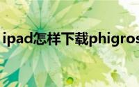ipad怎样下载phigros（ipad怎样下载软件）