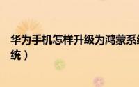 华为手机怎样升级为鸿蒙系统（华为手机怎样升级为鸿蒙系统）