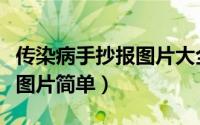 传染病手抄报图片大全三年级（传染病手抄报图片简单）