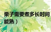 栗子需要煮多长时间（栗子需要煮多长时间才能熟）