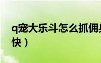 q宠大乐斗怎么抓佣兵（q宠大乐斗怎么升级快）