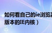 如何看自己的ie浏览器版本（如何查看浏览器版本的IE内核）