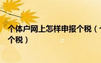 个体户网上怎样申报个税（个体工商户如何在网上自行申报个税）