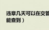 违章几天可以在交管12123查到（违章几天能查到）