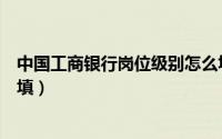 中国工商银行岗位级别怎么填（工商银行网申岗位级别怎么填）