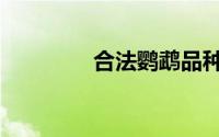 合法鹦鹉品种（合法强奸）