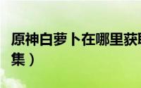 原神白萝卜在哪里获取（原神白萝卜在哪里采集）