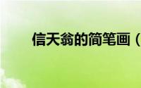 信天翁的简笔画（信天翁的简笔画）